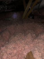 IMG_4402.jpeg IMG_4402.jpeg