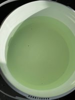 IMG_6308.jpg IMG_6308.jpg