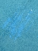 921C7D64-7A69-42F3-99DD-D9E3BB15BB19.jpeg