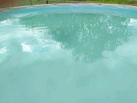IMG_20210507_080124.jpg