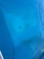 IMG_3235.jpg