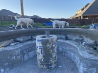 IMG_0536.JPEG