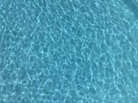 18B186BA-051C-4C11-A37D-E4D6826FD1E2.jpeg