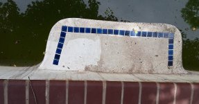 Tried a whimpy 1600 PSI pressure washer on this Step.jpg