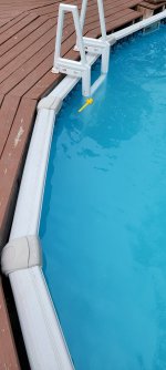 20210607_144225.jpg
