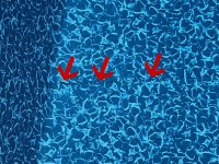 pool 1 ramp copy.jpg pool 1 ramp copy.jpg