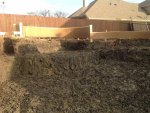 Optimized-IMG_0028.JPG