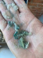 Greenish particles from top of sand in sand filter.