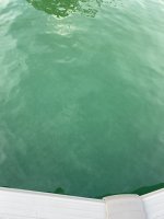 9920F107-D04D-4ECE-BCB5-1B0CDC01B23E.jpeg