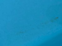 pool staining 1.jpg pool staining 1.jpg