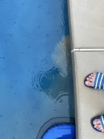 IMG_0336.jpeg