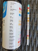 test-strip-2.jpg