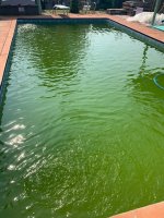 IMG_1079.jpg