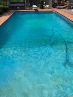 IMG_1134.jpg