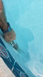 20210710_160311.jpg