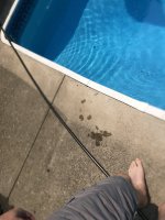 IMG_1260.jpg IMG_1260.jpg