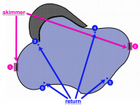 skimmers2.png skimmers2.png