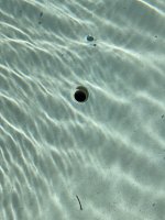 E45587C2-A168-4181-808F-52DE2CCFD7C4.jpeg