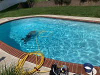 IMG_0034.jpeg