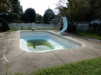 pool 1.jpg