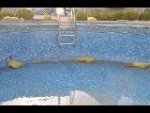 Pool Pictures 5-2-2012 312.jpg