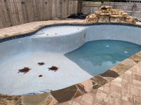 efflorescence Area Aug 24 21 I.jpg