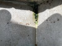 661BA326-CDCF-47F0-AF24-1B00D6677FD8.jpeg