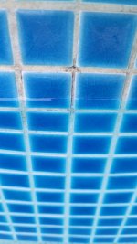 20210831_164134.jpg