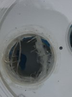 IMG-1858.jpg
