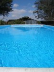 Fathers Day Pool.jpg