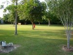 29687_1120081099548_2966770_n.jpg