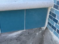 IMG_7105.jpeg IMG_7105.jpeg