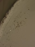 20211227_192746.jpg