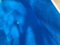 812A8616-C5A3-46D9-9493-2D680AD33C8B.jpeg