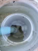 IMG_3395.jpg
