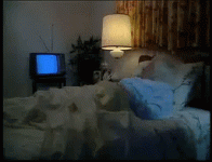BiodegradableCalculatingKinglet-size_restricted.gif