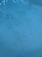 IMG_1490.JPG IMG_1490.JPG