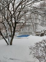 pool-3-12-2022.jpg