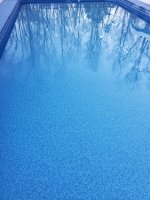 20220323_193218.jpg
