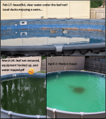 pool.png pool.png