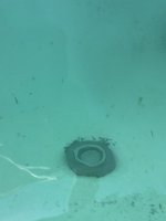 IMG_1177.jpeg