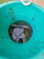 20220420_065717.jpg
