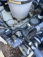 IMG_1783.jpeg