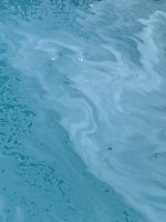 250D03AE-3917-4F55-8541-0F39B8F2EB2E.jpeg
