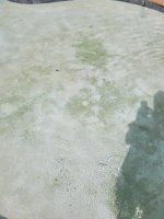 pool 1.jpg pool 1.jpg