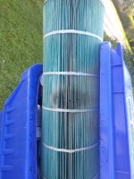 3 month old pool filter, stained blue.jpeg