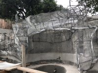 IMG_8699.jpeg