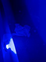 PXL_20220524_024913600.jpg
