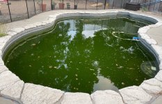 pool.jpg pool.jpg