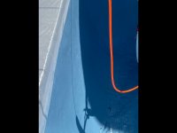 336FB57B-A728-4249-B04E-12DDC0CF5D43.jpeg